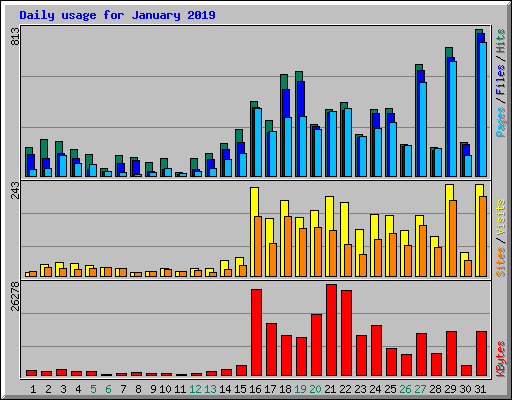 Daily usage for January 2019