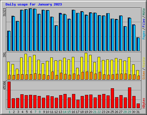 Daily usage for January 2023