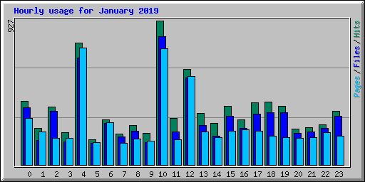 Hourly usage for January 2019