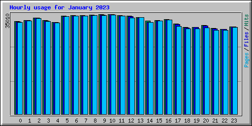 Hourly usage for January 2023